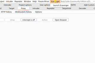 Fuzzing With Custom Wordlists