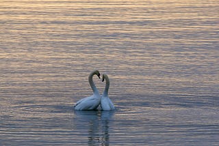 Sometimes Love Means Losing… and Still Choosing to Stay
