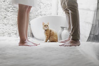 The Quiet Violence of Letting Go