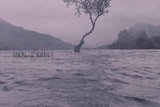 Flood Flirt- A Poem