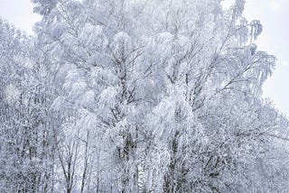 THE BIG CHILL has arrived