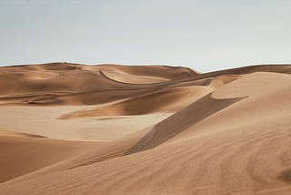 The Lone and Level Sands — 1