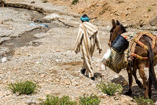 The horse, the man and his son.