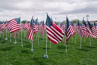 A large number of small American flags staked on a large green lawn.