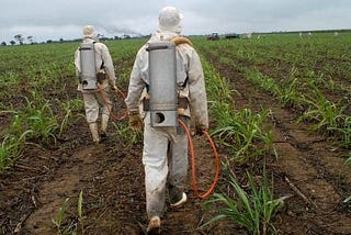 [Image 1] workers spraying crops with chemicals