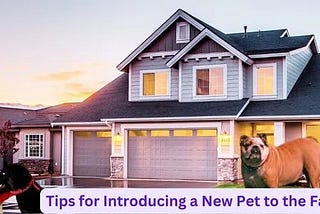 Tips for Introducing a New Pet to the Family