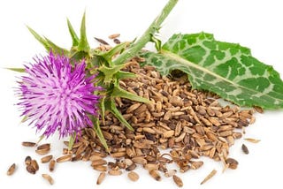 What does milk thistle extract do for the body