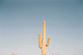 The Power of Long Tail