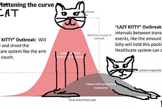 COVID-19 Thoughts of a Scientist