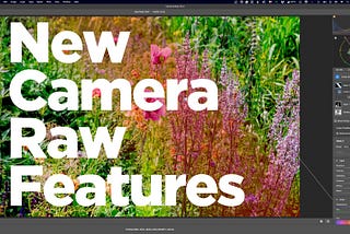 Lots of new features have been added to Camera RAW that aren’t in Lightroom