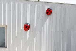 The Self Exposing Nature of Dealing with Pests