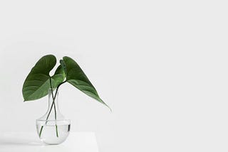 Three Simple Household Systems That Boost My Wellbeing and Productivity