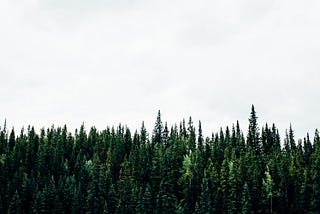 Random Forest Algorithm: How it works and Benefit