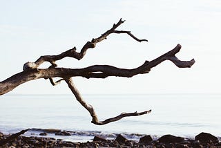 Stop Writing Multi-Branch Code with Nested if-else’s and Try This Instead