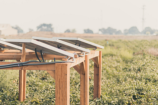 Growing Your Own Energy: How Agrivoltaics can Help Farmers Improve their Profit Margins