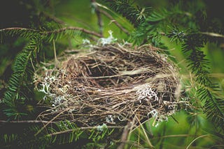 5 Surprising Gifts of an Empty Nest and How to Embrace Them