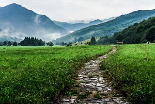 If You Want Time and Financial Freedom, There Are Only Four Paths. Which Path Are You On?