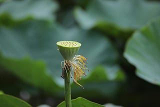 How to Avoid Creating an AI Monster