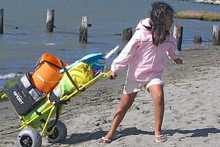 What to look for in a Beach Cart