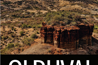 The Bulletin: July 23–29, 2025