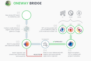 What is the role of Web3 carbon bridges within the carbon market?