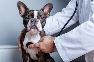 Valuing a veterinary practice