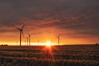 A windfarm in the middle of a field at sunset.