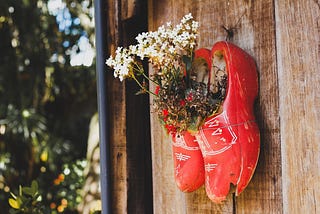 An image of red wooden clogs hanging on a wall with plants in them. Clogs is one of the Dutch traditions.