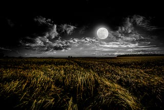 I Keep Talking to the Moon Even Though I Know It’s Just a Rock