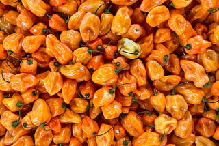 Why I Stopped Eating Hot Peppers