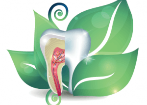 Why Choose Holistic Dentistry?