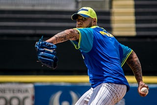 a baseball pitcher getting ready to pitch the ball.