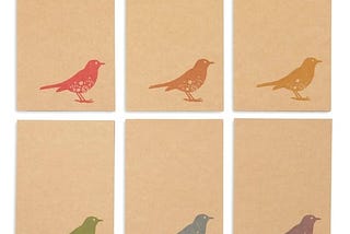 36-pack-all-occasions-assorted-blank-note-cards-greeting-cards-bulk-box-set-6-1