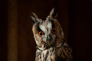 Say hello to a blazing fast gRPC Server 👋 (C++)