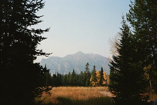 10 Best Forex Brokers in Saudi Arabia for 2024