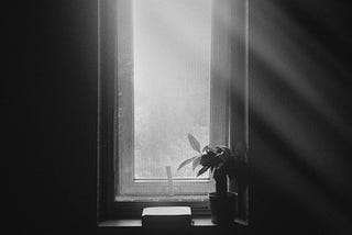 Love Beyond Loss