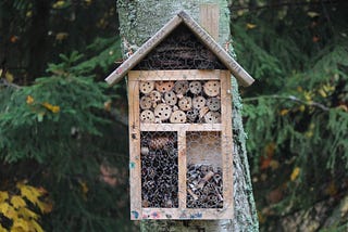 What is a Bee Hotel?