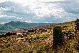 Climate Change and Agriculture in the UK