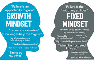 Developing a Growth Mindset