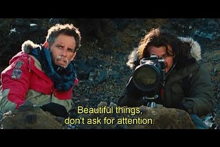 Beautiful things don’t ask for attention