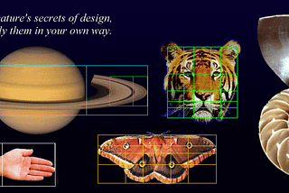 Golden Ratio: A Swiss-Army-Knife for carving Beauty & Attraction into your own Website