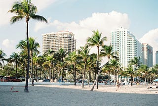 White sand beach with palm trees and high rises in the background