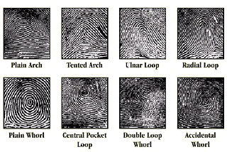 Navigating Biometric Replication and Deepfake Technology