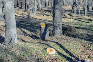 When nature needs a profit motive, we’ve already lost the plot.
