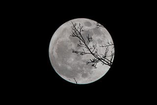 January Full Moon — The Wolf Moon