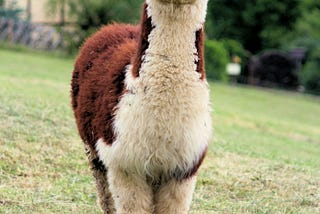 How to Host Llama 3.1 in 30 Lines or Less (Or Your Money Back!) 🎉