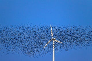 The Dark Side of Wind Turbines