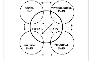 Palliative Care and Hospice Medicine are Complementary but Distinct — Integrative Alchemists