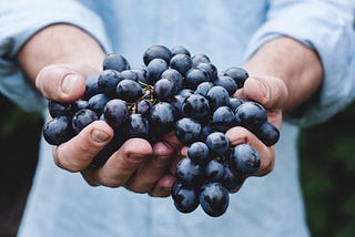 Hands holding bundle of grapes