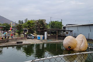 I Visited The Saddest Park Ever and Yelled at My Dad